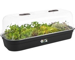 Elho Green Basics Kweektray 51 - Binnen en Buiten - Kweken en Oogsten - Ø 51.5 x H 7.5 cm - Living black