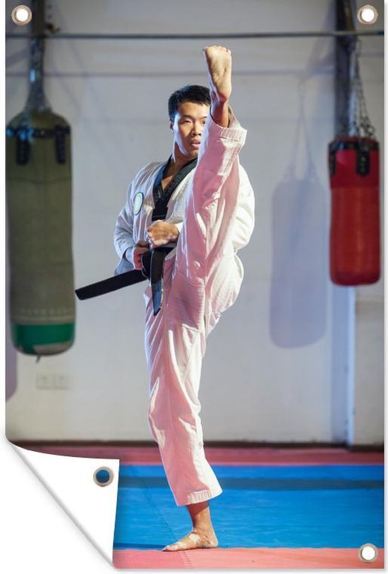 Tuinposter - Taekwondo hoge schop - 80x120 cm