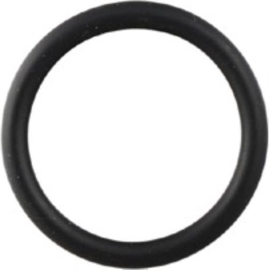 O-ring 22x3mm  stoomreiniger hogedrukreiniger  Karcher  5515