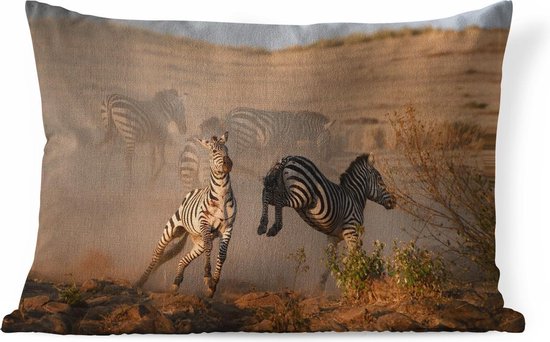 Kussens Woonkamer - Schoppende zebra - 60x40 cm