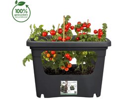 Elho Green Basics Stack & Grow 50 - Stapelbare Kweekbak - Verticaal Tuinieren - 100% Gerecycled Plastic - Ø 50.9 x H 35.7 cm - Living black