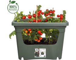 Elho Green Basics Stack & Grow 50 - Stapelbare Kweekbak - Verticaal Tuinieren - 100% Gerecycled Plastic - Ø 50.9 x H 35.7 cm - Blad groen