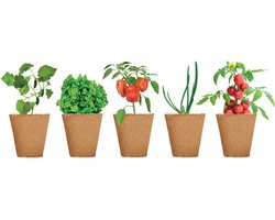 Kweekset salade - Moestuin - Kweekbak - Moestuin zaden - Moestuin artikelen - Biologisch - Komkommer - Ui - Paprika - Cherrytomaat - Sla - Plantensteker - Kokostabletten - Set - 20-delig