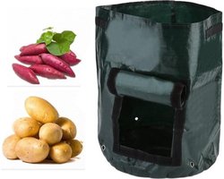 Kweekzak voor groenten - 1x aardappel kweek zak 30x35CM