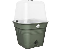 Elho Green Basics Kweekpot Vierkant Allin1 25 - Kweekbak met Deksel - 100% Gerecycled Plastic - Ø 24.5 x H 20.7 cm - Blad groen