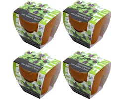 Klavertje Vier - Grow Gift - 4 Minipotjes voor kweken van Klavertje Vier