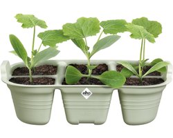 Elho Green Basics Seed Tray 22cm Accessoire - Steengroen