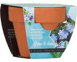 Groeicadeautje Vergeet-me-niet