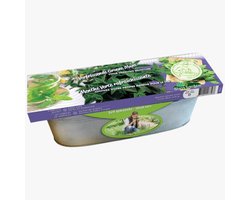 Zinken Teil Groene Munt - Moestuin - (Ook)-Voor in huis