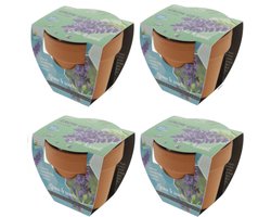 Lavendel - Grow Gift - 4 Minipotjes voor kweken van Lavendel