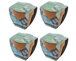 Vergeet me Nietje - Grow Gift - 4 Minipotjes voor kweken van Vergeet me Nietjes