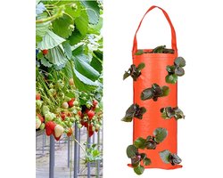 1 stuk - Omgekeerde tomaten- en aardbeien kweekzakken - Aardbeien kweekzakken - Hangende buiten kweekzakken - Geschikt voor binnen- en buitengebruik - Oranje(8 gaten)