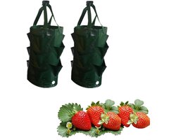 2 stuks herbruikbare kweekzak - Plantenk weekzakken - Geschikt voor doe-het-zelf, aardappel-, tomaten-, aardbeien- en fruitplanten - Tuinpotten - Plantenk weekzakken met handvatten, Tuinaard beien plantcontainers - Tuin - Groen