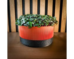 Microgroenten & Cressen Growkit – Makkelijk startpakket voor beginners – Oogst in 1 week – Leuk cadeau – Duurzaam - Terra Black - DIY kweekset