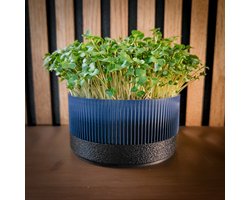 Microgroenten & Cressen Growkit – Makkelijk startpakket voor beginners – Oogst in 1 week – Leuk cadeau – Duurzaam - Marine Black - DIY kweekset