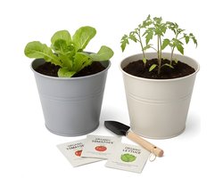 Cheqo® Kweekset Emmer Tomaten Sla - Kweekset Tomaten En Sla - Kweekset Tomaten Sla - Kweekset Emmer - Emmer Kweekset - Tomaten Kweekset - Sla Kweekset - Kweekset Tomaten - Kweekset Sla - Tomaten Zaden Kweekset