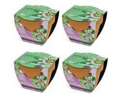 Passiebloem - Grow Gift - 4 Minipotjes voor kweken van Passiebloem