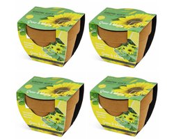 Zonnebloem - Grow Gift - 4 Minipotjes voor kweken van Zonnebloem