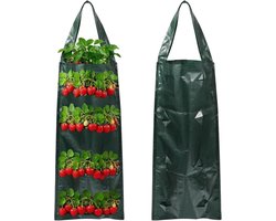 2stuks - aardbeienplanten verticaal - aardbeienplanten - aardbeien plantensteun - hangende plantenzakken - 8 gaten -tomaten planten - Voor buiten gebruik.