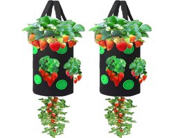 Planten groeizak - 2 stuks - Kweekzak - Plantenzak - Niet-geweven stof - Herbruikbaar - Met handgrepen - Groeizak - Tuinieren - Kweekzakken - Plantenmand - 25x30 CM - Zwart