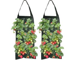 Wandgemonteerde plantenzakken - zaaizakken - set van 2 plantenzakken - aardbeienplantenzakken met 8 gaten - 25x60cm - duurzaam en ademend - met handvat - geschikt voor planten, kruiden en bloemen - groen